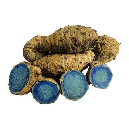 blackturmeric